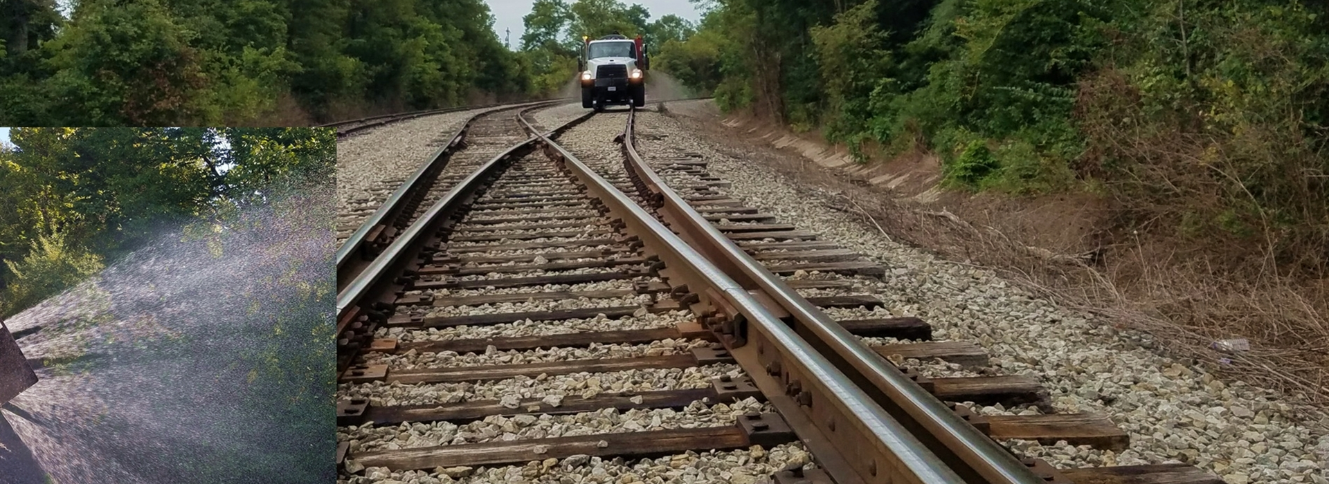 Railway Vegetation Management